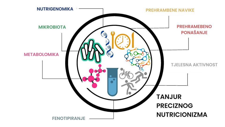 Precision Nutrition: A Review of Personalized Nutritional Approaches for the Prevention and Management of Metabolic Syndrome